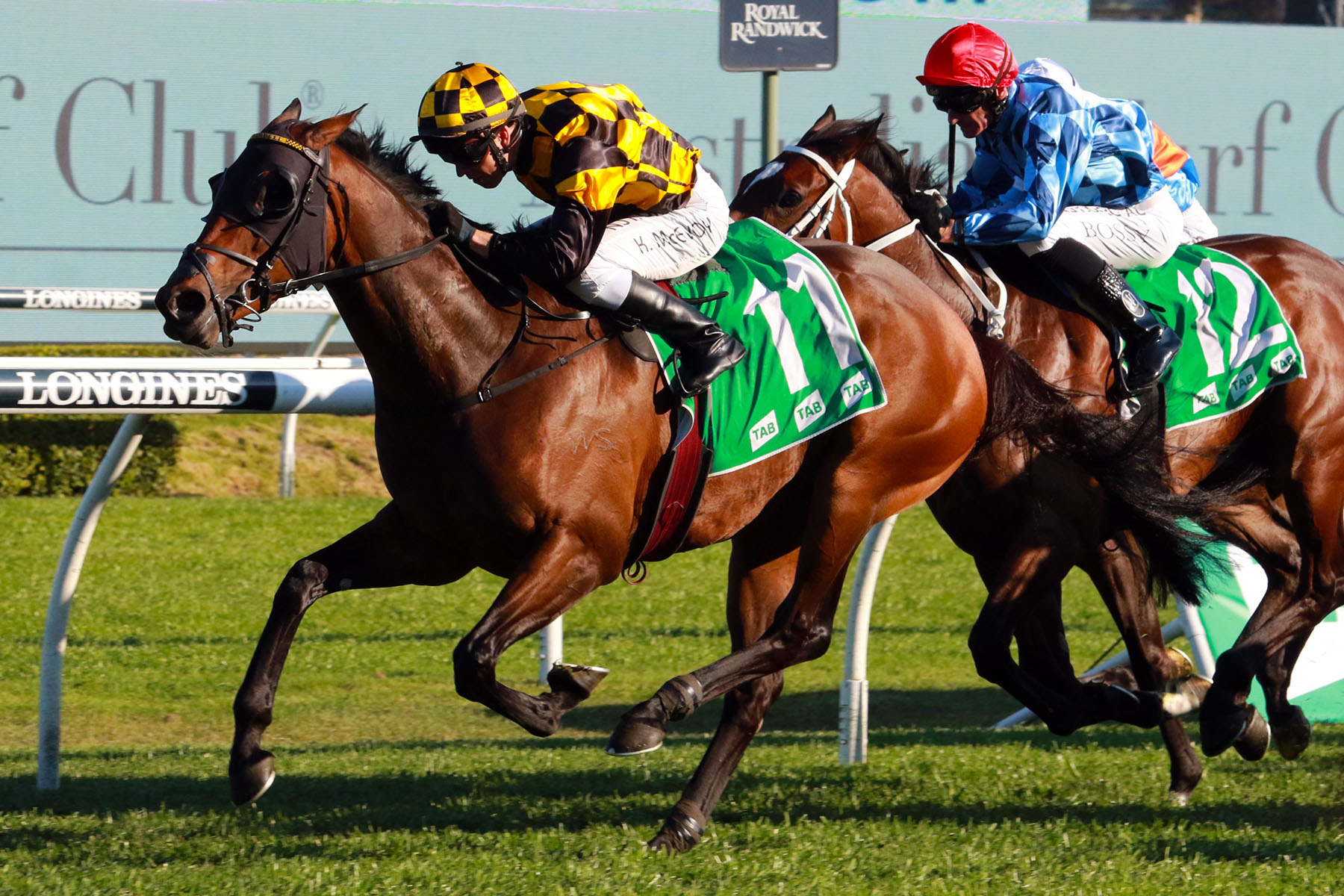 Star mare Probabeel (NZ) wins the Group One TAB Epsom Handicap (1600m) at Randwick.